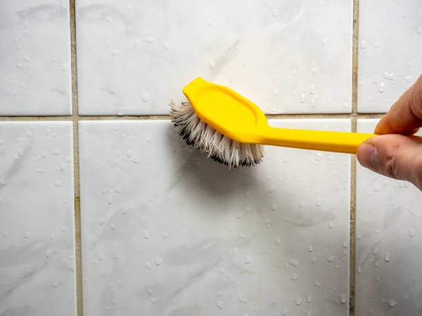 Best Mold Remediation  in Bicknell, IN
