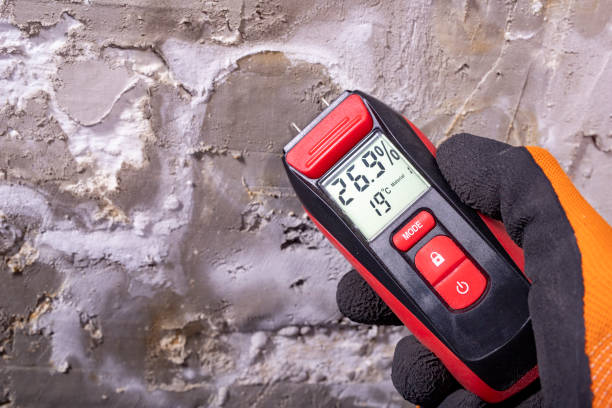 Best Residential Mold Removal  in Bicknell, IN