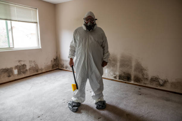 Mold Removal and Inspection in Bicknell, IN